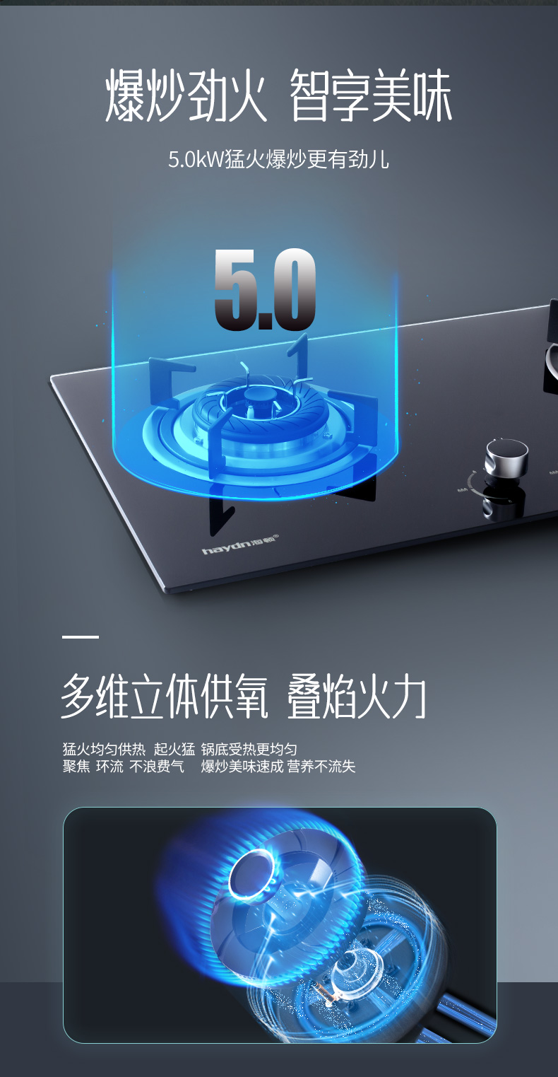 20220331/62456294f1a7c.jpg 灶具--HB206_02.jpg